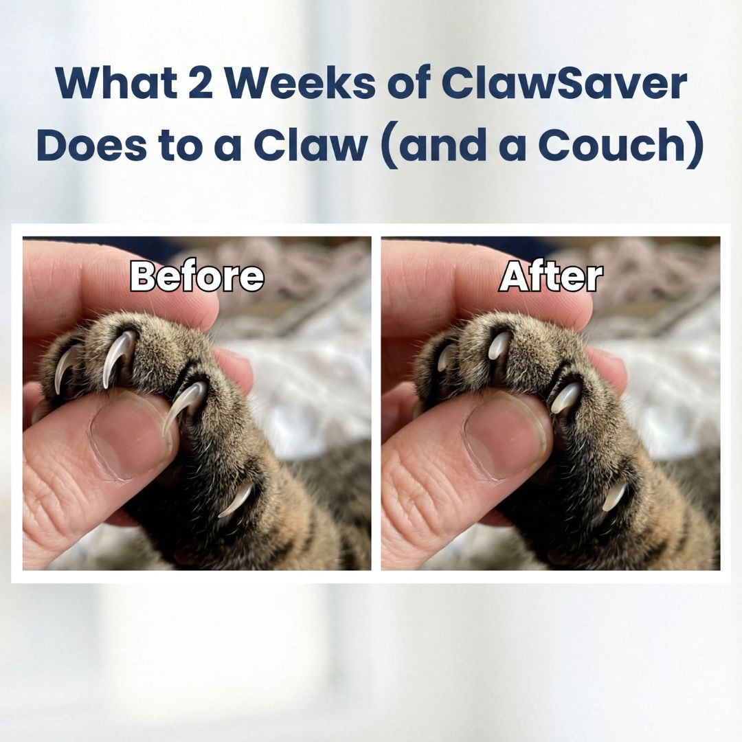 ClawSaver™